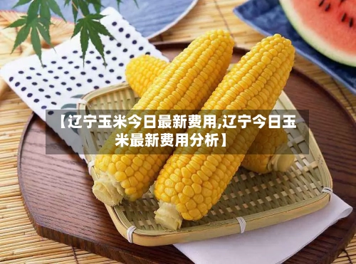 【辽宁玉米今日最新费用,辽宁今日玉米最新费用分析】