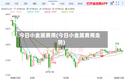 今日小金属费用(今日小金属费用走势)