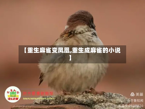【重生麻雀变凤凰,重生成麻雀的小说】-第3张图片
