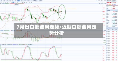 7月份白糖费用走势/近期白糖费用走势分析-第3张图片