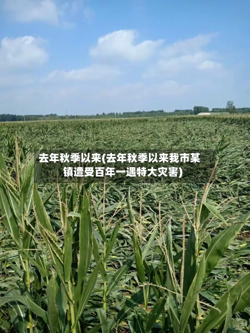 去年秋季以来(去年秋季以来我市某镇遭受百年一遇特大灾害)