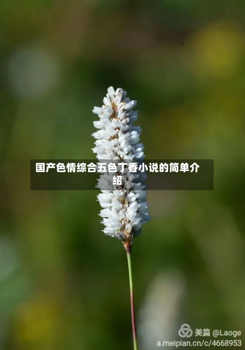 国产色情综合五色丁香小说的简单介绍