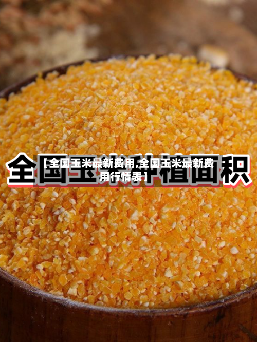 【全国玉米最新费用,全国玉米最新费用行情表】