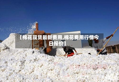 【棉花现货最新费用,棉花费用行情今日报价】