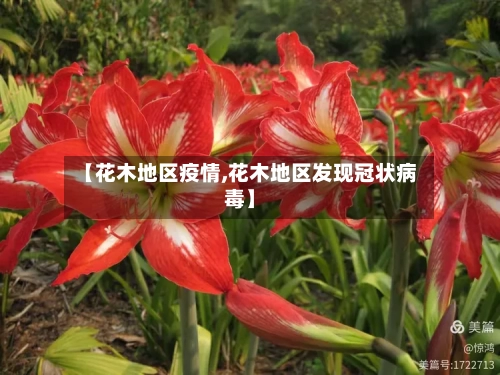 【花木地区疫情,花木地区发现冠状病毒】-第2张图片