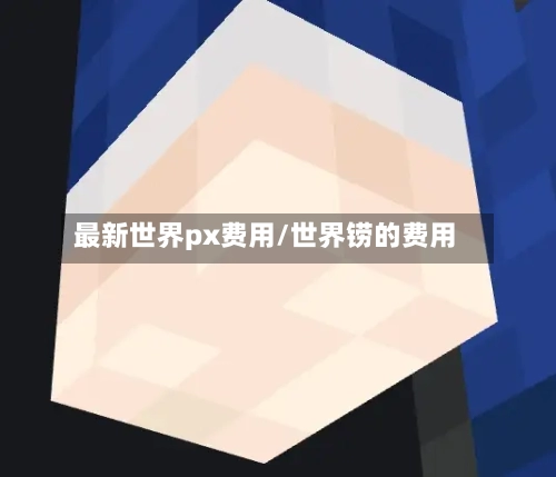 最新世界px费用/世界铹的费用
