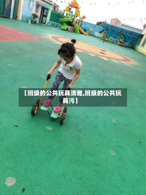【班级的公共玩具清雅,班级的公共玩具污】