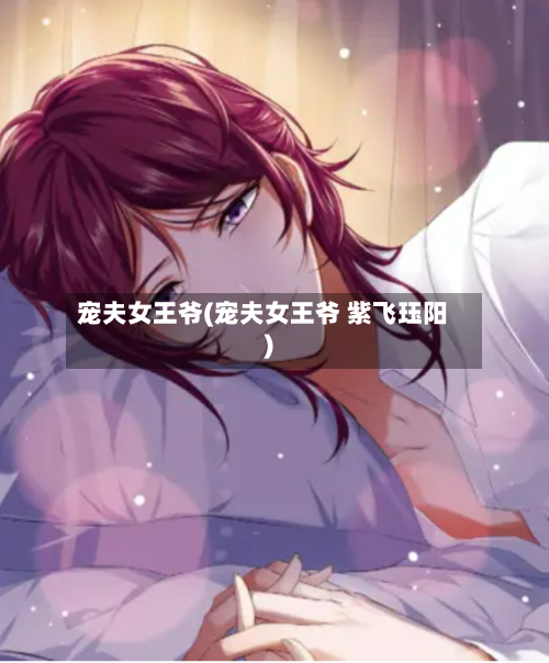 宠夫女王爷(宠夫女王爷 紫飞珏阳)