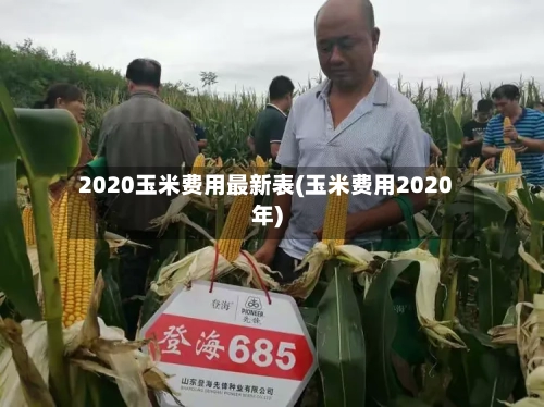 2020玉米费用最新表(玉米费用2020年)-第3张图片