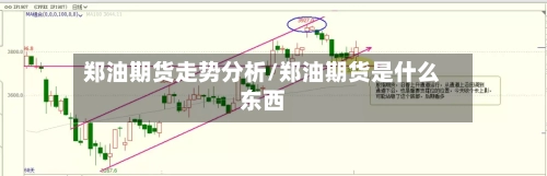 郑油期货走势分析/郑油期货是什么东西-第2张图片