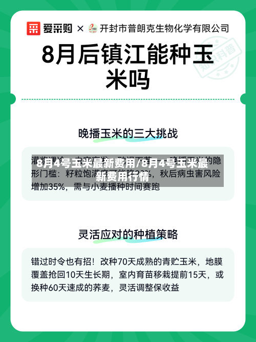8月4号玉米最新费用/8月4号玉米最新费用行情