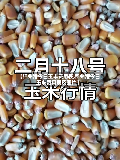 【锦州港今日玉米费用表,锦州港今日玉米费用表及图片】