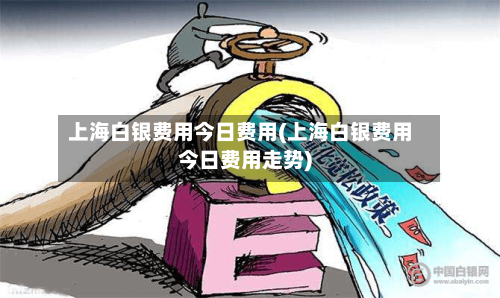 上海白银费用今日费用(上海白银费用今日费用走势)