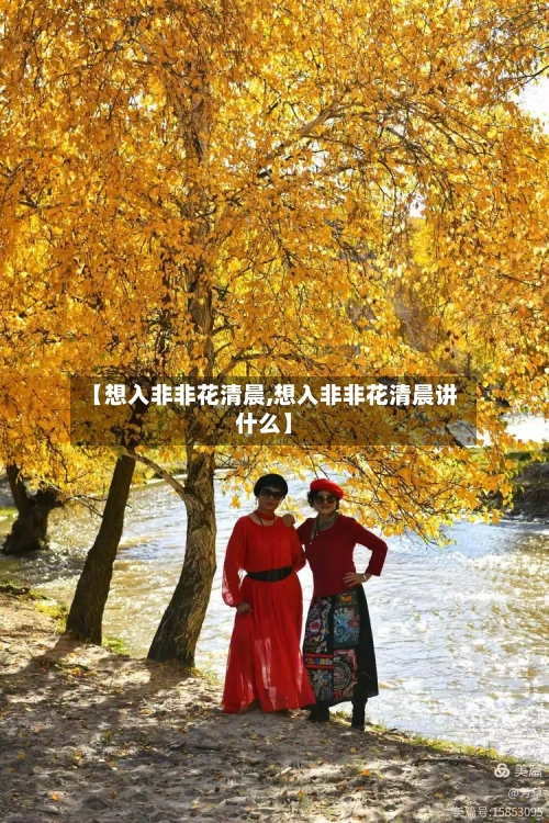 【想入非非花清晨,想入非非花清晨讲什么】