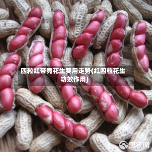 四粒红带壳花生费用走势(红四粒花生功效作用)-第2张图片