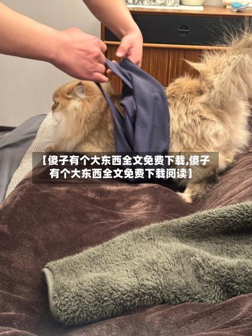 【傻子有个大东西全文免费下载,傻子有个大东西全文免费下载阅读】