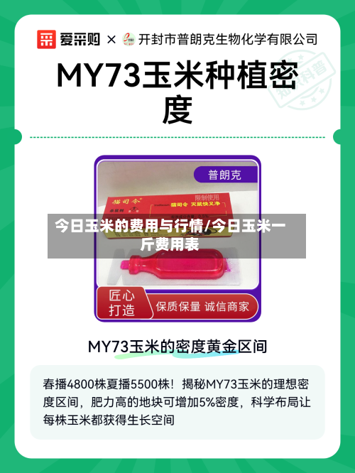 今日玉米的费用与行情/今日玉米一斤费用表