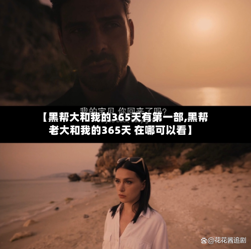 【黑帮大和我的365天有第一部,黑帮老大和我的365天 在哪可以看】-第3张图片