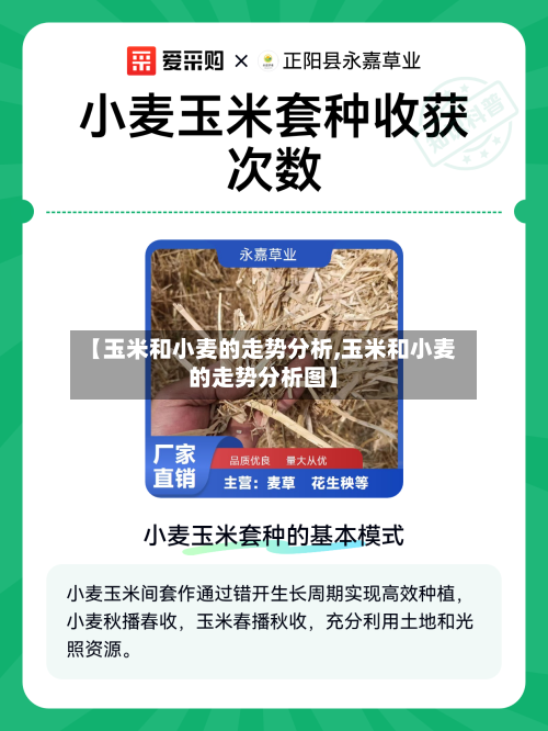 【玉米和小麦的走势分析,玉米和小麦的走势分析图】