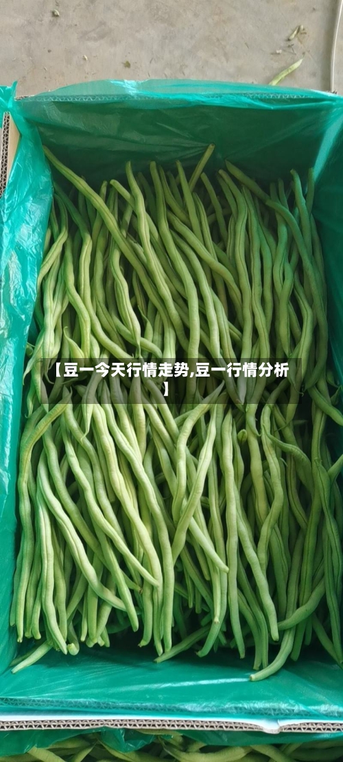 【豆一今天行情走势,豆一行情分析】-第2张图片