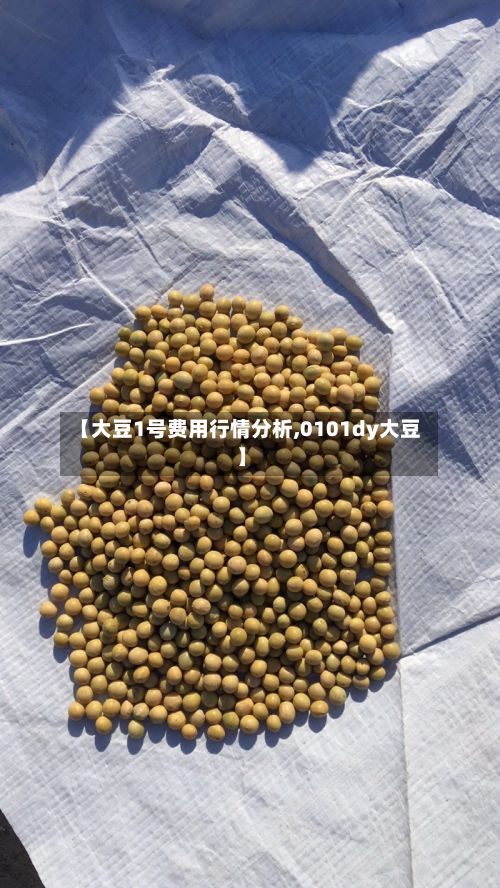 【大豆1号费用行情分析,0101dy大豆】