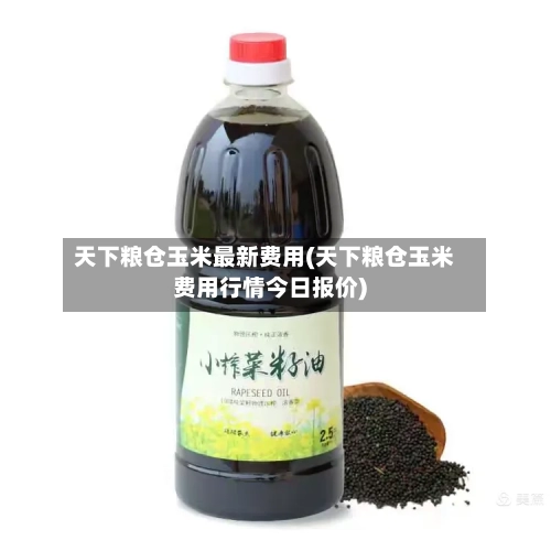 天下粮仓玉米最新费用(天下粮仓玉米费用行情今日报价)