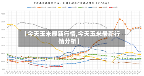 【今天玉米最新行情,今天玉米最新行情分析】