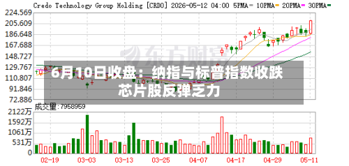 6月10日收盘:纳指与标普指数收跌 芯片股反弹乏力-第3张图片
