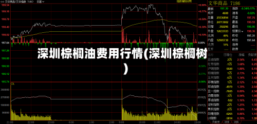 深圳棕榈油费用行情(深圳棕榈树)-第3张图片