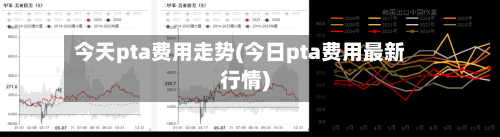 今天pta费用走势(今日pta费用最新行情)