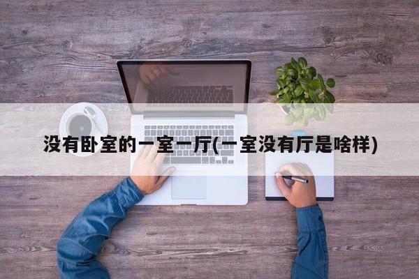 没有卧室的一室一厅(一室没有厅是啥样)